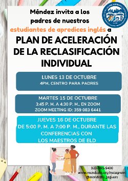 IRAP flyer